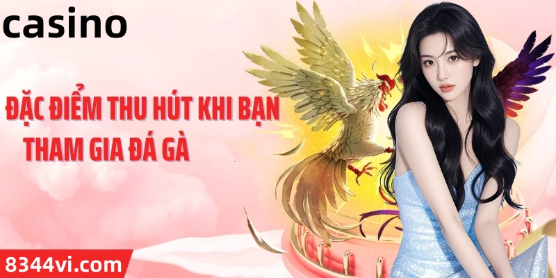Hình ảnh quảng cáo của sodo hiển thị nền tảng và các lợi ích
