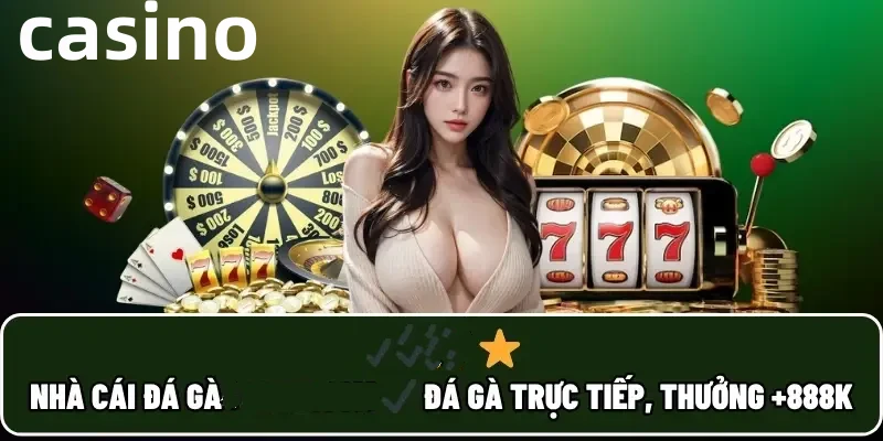 Hình ảnh quảng cáo của sodo hiển thị nền tảng và các lợi ích