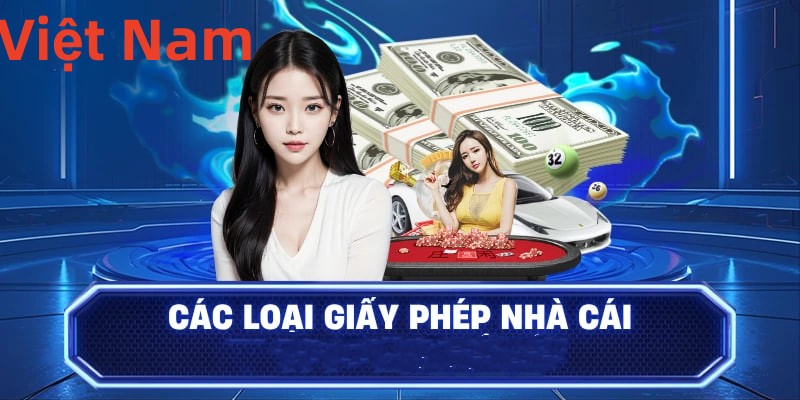 Hình ảnh quảng cáo của sodo hiển thị nền tảng và các lợi ích