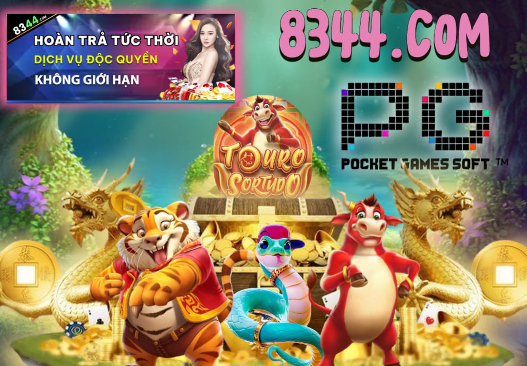 Hình ảnh quảng cáo của sodo hiển thị nền tảng và các lợi ích